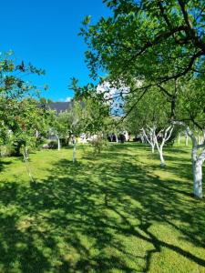 a grassy field with trees in a park at Apartment Rosandić in Smoljanac