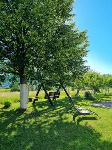 a park with a bench and a tree at Apartment Rosandić in Smoljanac