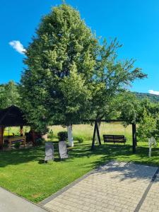 two chairs sitting under a tree next to a bench at Apartment Rosandić in Smoljanac
