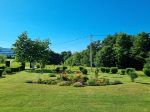 a garden with a bunch of flowers in the grass at Apartment Rosandić in Smoljanac