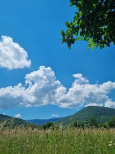 a field of grass with a blue sky and clouds at Apartment Rosandić in Smoljanac