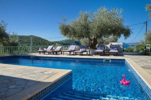 a swimming pool with a pink swan in the water at Villa Aquilo in Megali Ammos
