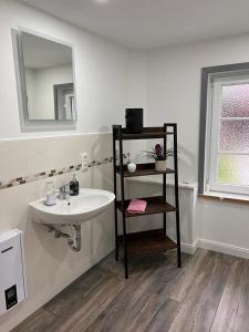 Ένα μπάνιο στο Haschys Ferienwohnung +13 φωτογραφίες