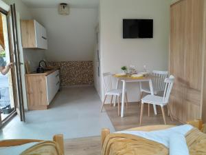 Kuchyň nebo kuchyňský kout v ubytování Apartamenty u Joli