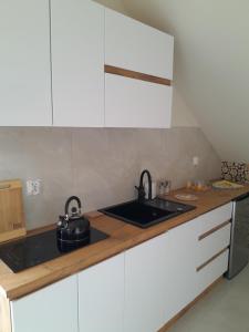 Kuchyň nebo kuchyňský kout v ubytování Apartamenty u Joli
