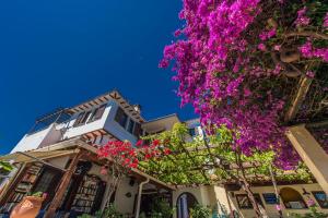 a bunch of purple flowers on the side of a building at Pounda Paou in Metókhion
