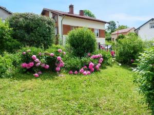 a garden with pink flowers in the grass at Studio convivial à Gérardmer, 35 m² avec vue sur la montagne in Gérardmer