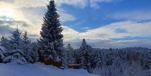 Domki Bieszczady Siedlisko Harenda v zime