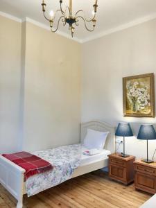 una camera da letto con un letto e due comodini di Charming Apartment Sofia 100m² a Sofia