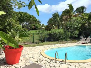 uma piscina num quintal com uma palmeira em Maison accueillante à Saint-François avec piscine privée. em Saint-François mais 19 fotografias