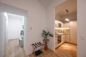 Kuchyňa alebo kuchynka v ubytovaní Apartment Luxe - with Aircondition!