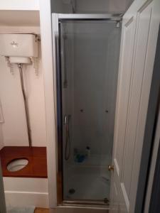 a glass shower in a bathroom with a toilet at Large Bright Soho Studio flat with Large Terrace in London +10 photos