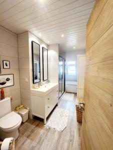 ein Bad mit einem WC, einem Waschbecken und einem Spiegel in der Unterkunft Maison loft avec jardin pour 6 voyageurs entre Paris et Disneyland in Torcy