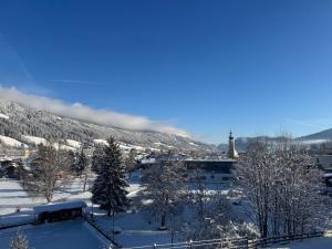 Naturlandskabet i nærheden af lejligheden