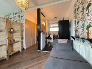 a living room with a couch and a kitchen at Studio Cosy AspinIII in Pau