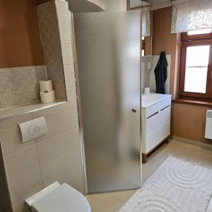 Apartment Salamander的一间浴室