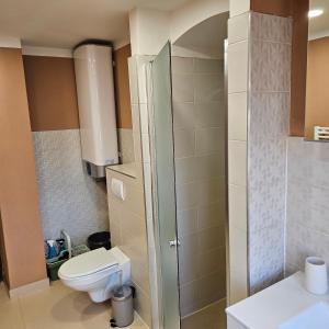 Apartment Salamander的一间浴室