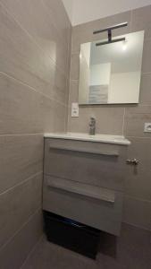 a bathroom with a sink and a mirror at Magnifique 2p cœur historique in Auray