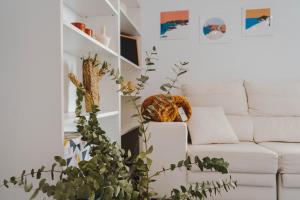 un soggiorno con un divano e una pianta di Cathedral - City Center - Free Parking - Climatized a Almería