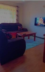 TV a/nebo společenská místnost v ubytování Annie's 1br near sarovawoodlands