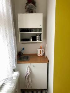 Kuchyň nebo kuchyňský kout v ubytování Apartmán B Luhačovice