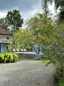 Zahrada ubytování Mango Tree Villa