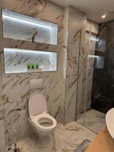 a bathroom with a toilet and a walk in shower at APARTMENT MEMORY in Zadar