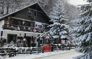 a house covered in snow with a christmas tree at Casa cu Amintiri - Authentic Cozy Cottage in Bran