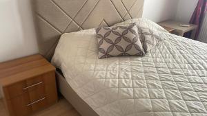 a bed with a headboard and a pillow on it at BT Lux apartment 2 in Skopje