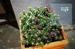 a wooden planter filled with pink and white flowers at Oasita Hostel in Gwangju