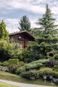 モントリオンにあるChalet Henri, Montriond ideal famillesの木々や茂みに囲まれた木造家屋