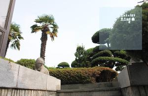 een standbeeld van een leeuw in een park met een palmboom bij Oasita Hostel in Gwangju