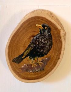 un oiseau noir assis sur un bol en bois dans l'établissement Amselwohnung, à Lübs