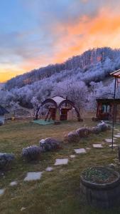Naturlandskabet i nærheden af campingpladsen
