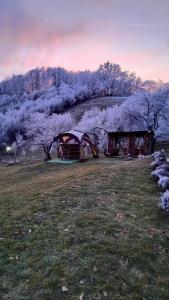 Naturlandskabet i nærheden af campingpladsen