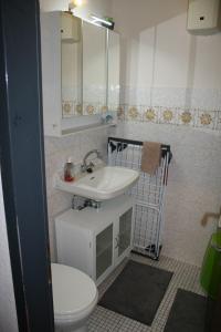 a bathroom with a sink and a toilet at Fels- und Seenland in Ludwigswinkel