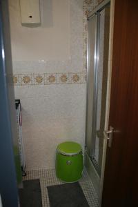 a bathroom with a green toilet and a shower at Fels- und Seenland in Ludwigswinkel