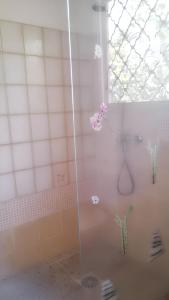 a shower with a glass door with flowers in it at Maison charmante à Sainte-Anne avec climatisation - 70 m² in Sainte-Anne
