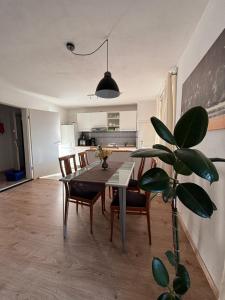 ein Esszimmer mit einem Tisch und einer Topfpflanze in der Unterkunft Ferienwohnung Lechfeld in Untermeitingen