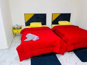 Fotografie z fotogalerie ubytování Four pyramids View Guest house v Káhiře