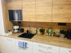 Kuchyň nebo kuchyňský kout v ubytování Labela Luhačovice Apartment