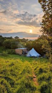 Foto sihtkohas Llanidloes asuva majutusasutuse Daisy Bell Tent at Belan Bluebell Woods galeriist