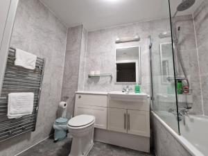 a bathroom with a toilet and a sink and a shower at Northern Quarter Flat in Manchester