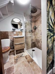 ブールゴアンにあるStudio Duplex le Jungle - Bourgoin Centreのシャワーとトイレ付きのバスルーム