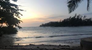 una spiaggia con alberi e l'oceano al tramonto di Smiley Bungalows Guesthouse a Srithanu Beach