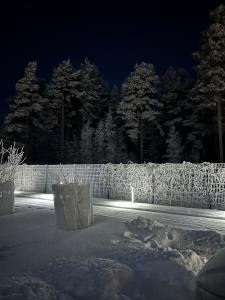 冬天的Log cabin of peace