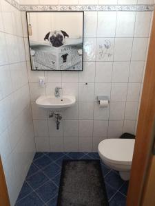 a bathroom with a toilet and a dog in the mirror at Apartment Haus Klingspitz Pilzegg in Embach +11 photos