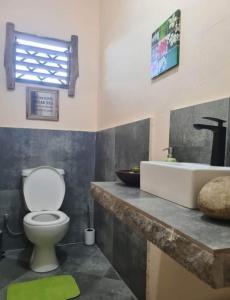 a bathroom with a white toilet and a sink at Ikigaï Lodge in Madirokely