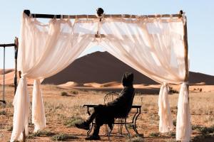 Domácí mazlíčci ubytovaní s hosty v ubytování Glamorous Luxury Camp