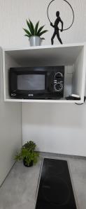 a microwave on a shelf with a person on it at Balance in Koper